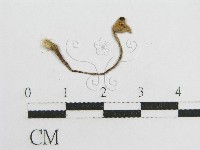 登錄號:F0010949藏品圖，第3張