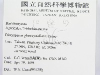 登錄號:F0010950藏品圖，第2張