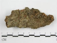 登錄號:F0010950藏品圖，第1張