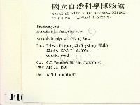 毛木耳藏品圖，第2張