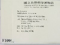 相鄰小孔菌藏品圖，第2張
