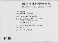 蠔韌革菌藏品圖，第2張