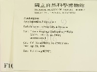 登錄號:F0010955藏品圖，第2張