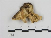 登錄號:F0010955藏品圖，第3張