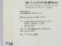 登錄號:F0010956藏品圖，第2張
