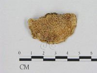 登錄號:F0010956藏品圖，第1張