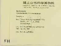 纖孔菌屬藏品圖，第2張