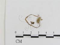 登錄號:F0010960藏品圖，第1張