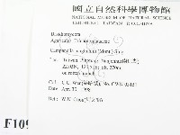 登錄號:F0010961藏品圖，第2張