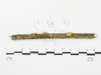 登錄號:F0010961藏品圖，第1張