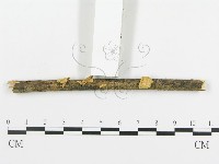 登錄號:F0010961藏品圖，第3張