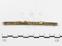登錄號:F0010961藏品圖，第4張