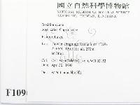 登錄號:F0010963藏品圖，第2張