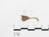 登錄號:F0010963藏品圖，第3張