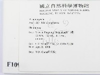 登錄號:F0010964藏品圖，第2張