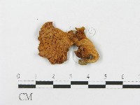登錄號:F0010964藏品圖，第3張