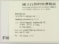 登錄號:F0010965藏品圖，第2張