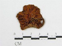 登錄號:F0010968藏品圖，第3張
