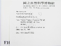 登錄號:F0010970藏品圖，第2張