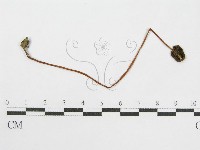 登錄號:F0010970藏品圖，第1張