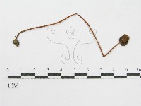 登錄號:F0010970藏品圖，第3張