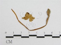 登錄號:F0010971藏品圖，第3張