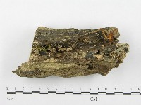 登錄號:F0010972藏品圖，第1張