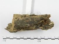 登錄號:F0010972藏品圖，第3張