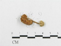 登錄號:F0010974藏品圖，第1張