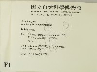 登錄號:F0010975藏品圖，第2張