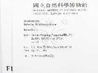 登錄號:F0010975藏品圖，第3張