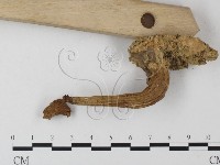 登錄號:F0010975藏品圖，第4張