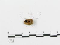 登錄號:F0010975藏品圖，第5張