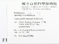 登錄號:F0010977藏品圖，第2張