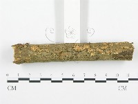 登錄號:F0010977藏品圖，第1張