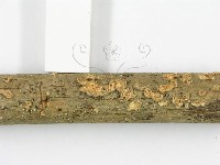 登錄號:F0010977藏品圖，第3張