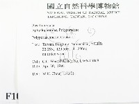 登錄號:F0010978藏品圖，第2張
