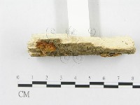 登錄號:F0010978藏品圖，第3張