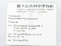 木層孔菌屬藏品圖，第2張