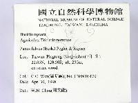 登錄號:F0010980藏品圖，第2張
