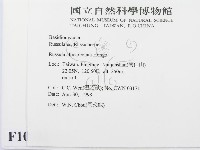 登錄號:F0010981藏品圖，第2張