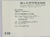 登錄號:F0010982藏品圖，第2張