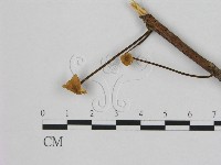 登錄號:F0010982藏品圖，第1張