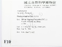 登錄號:F0010983藏品圖，第2張
