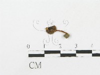 登錄號:F0010983藏品圖，第1張