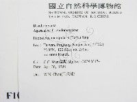 登錄號:F0010984藏品圖，第2張