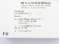 登錄號:F0010985藏品圖，第2張