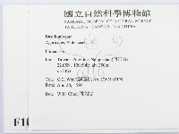 登錄號:F0010986藏品圖，第2張