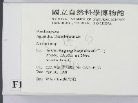 登錄號:F0010987藏品圖，第2張