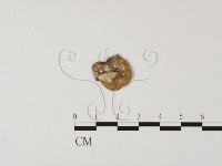 登錄號:F0010988藏品圖，第3張